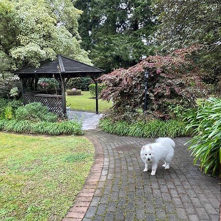 Garden Paradise In Rotorua With Pool Eksteriør bilde
