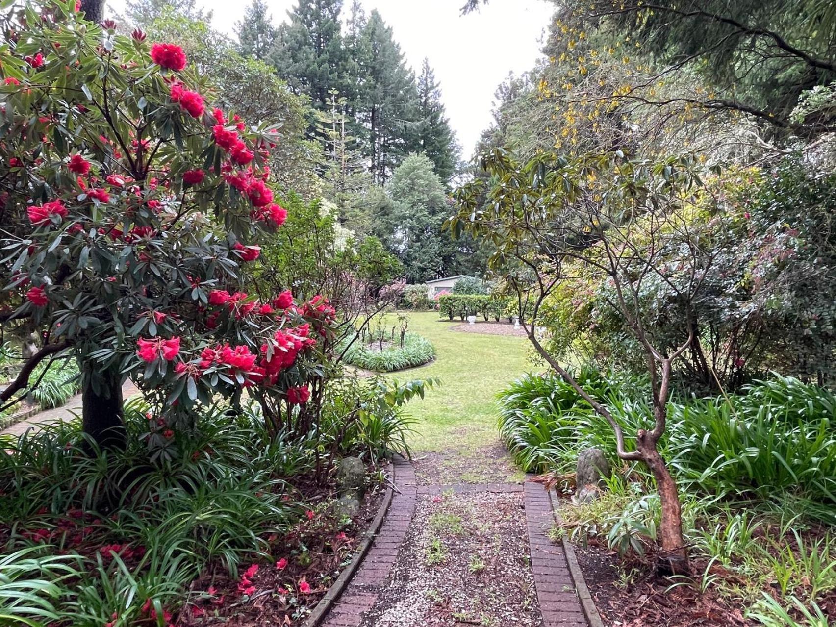 Garden Paradise In Rotorua With Pool Eksteriør bilde