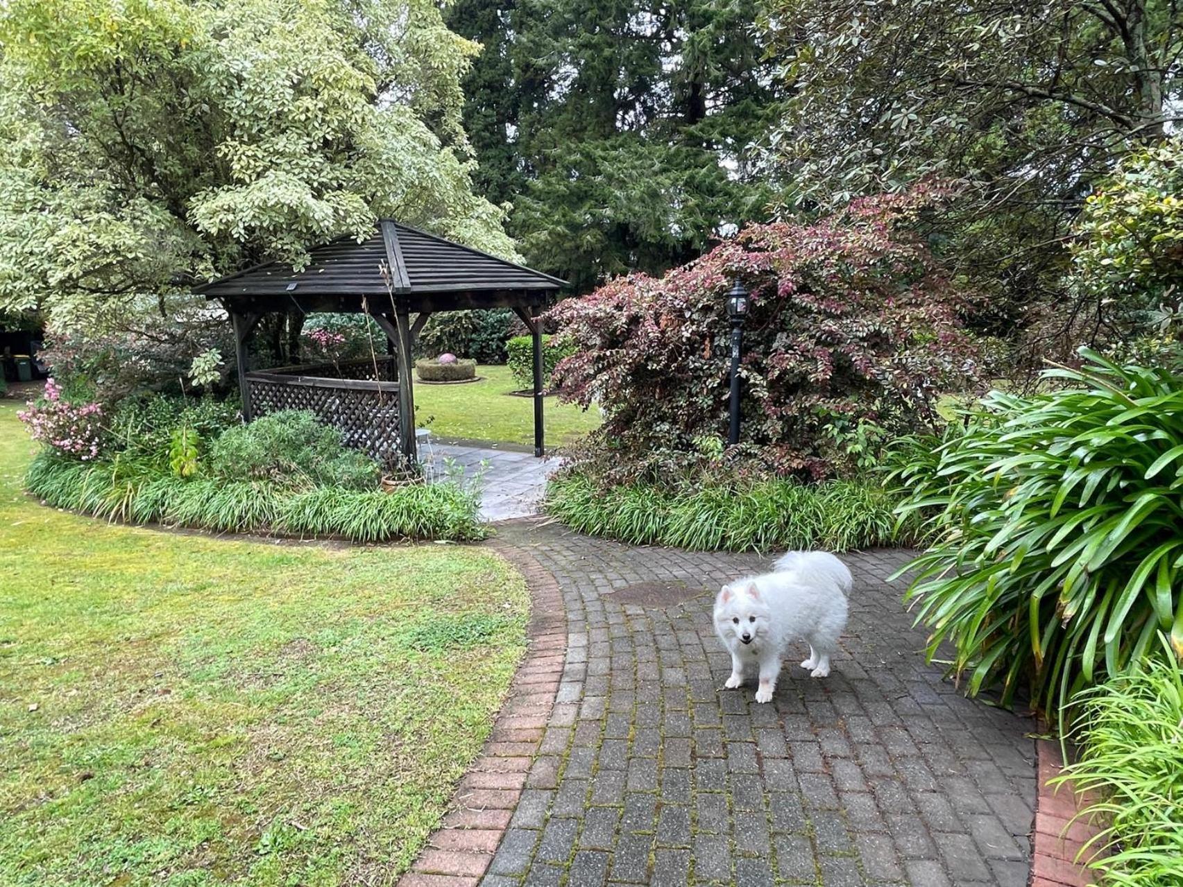 Garden Paradise In Rotorua With Pool Eksteriør bilde